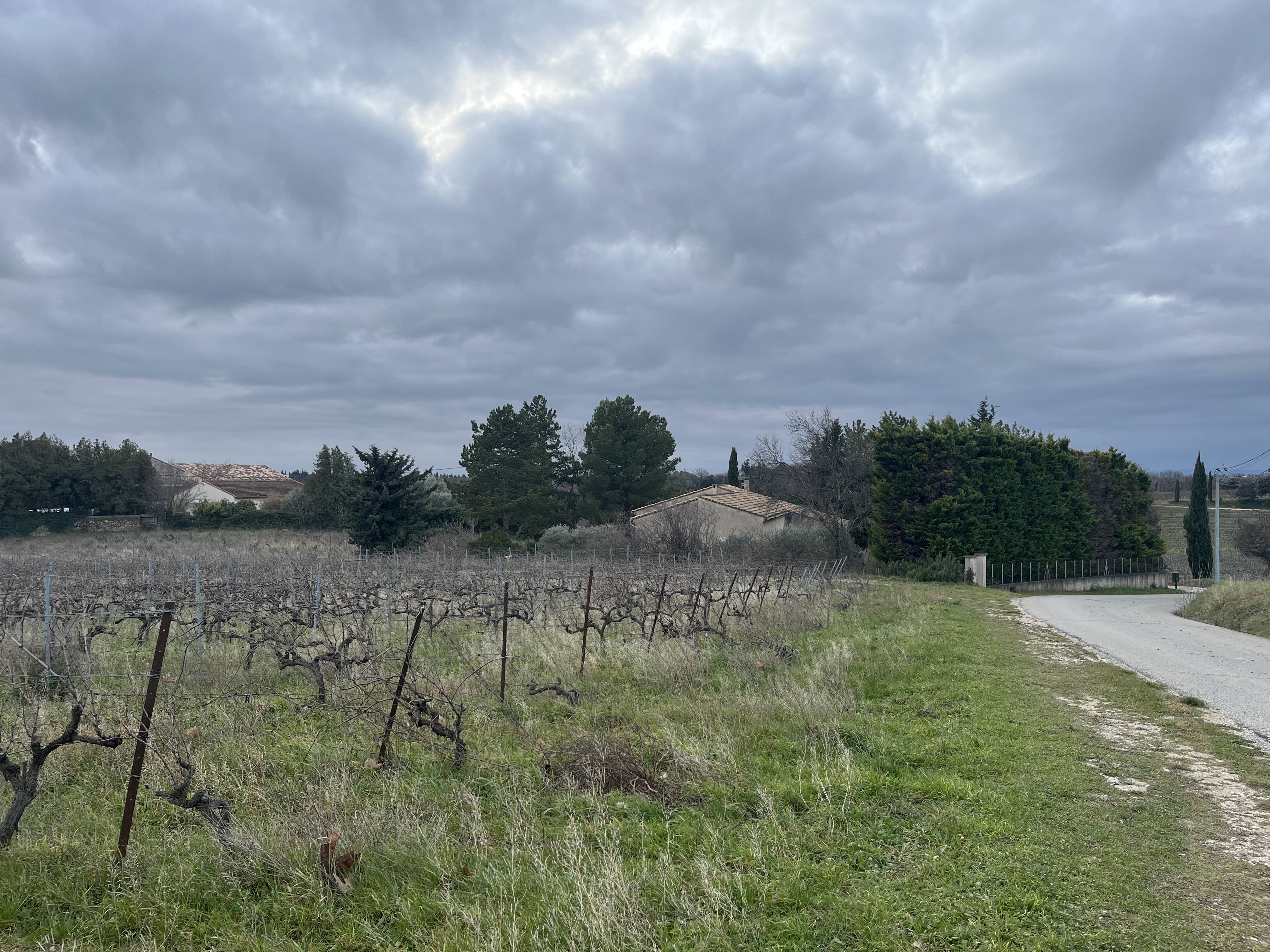 Terrains viabilisés à Vacqueyras